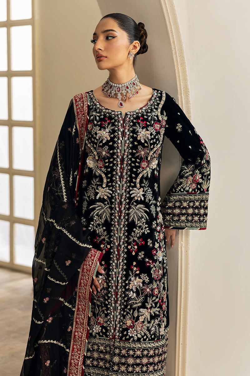 Gulaal | Celeste Velvet 24 | Raven - House Of Hania