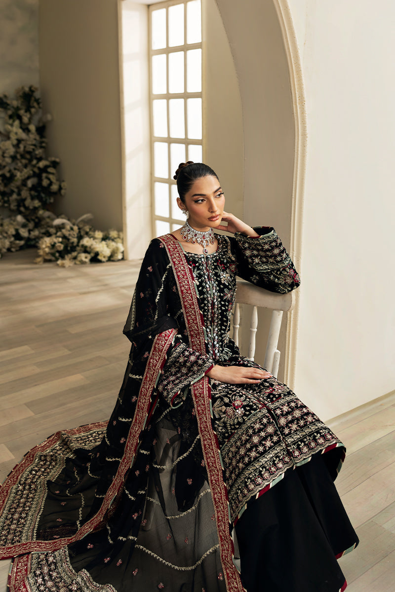 Gulaal | Celeste Velvet 24 | Raven - House Of Hania