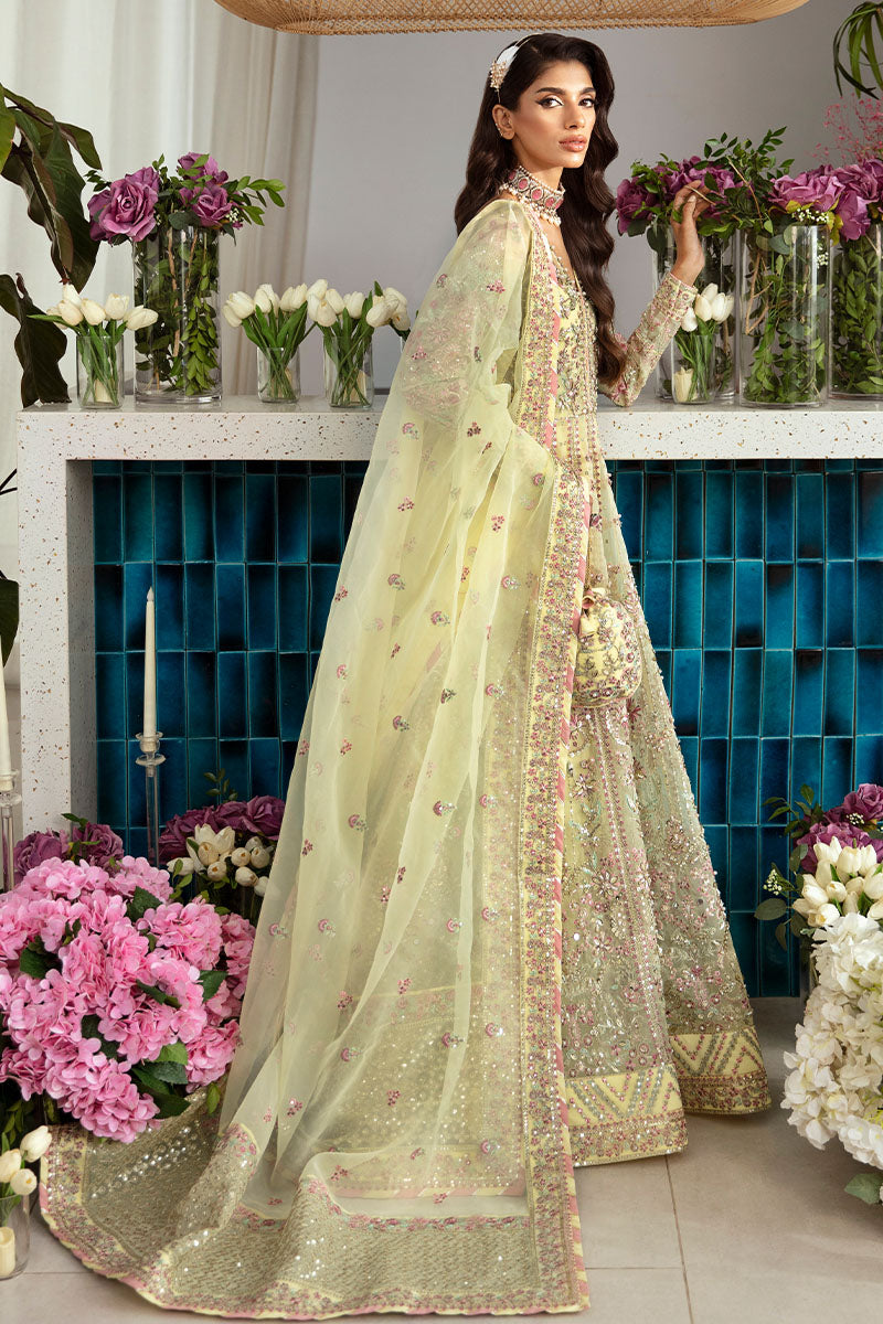 Gulaal | Emalyn Luxury Formals | NOURA - House Of Hania
