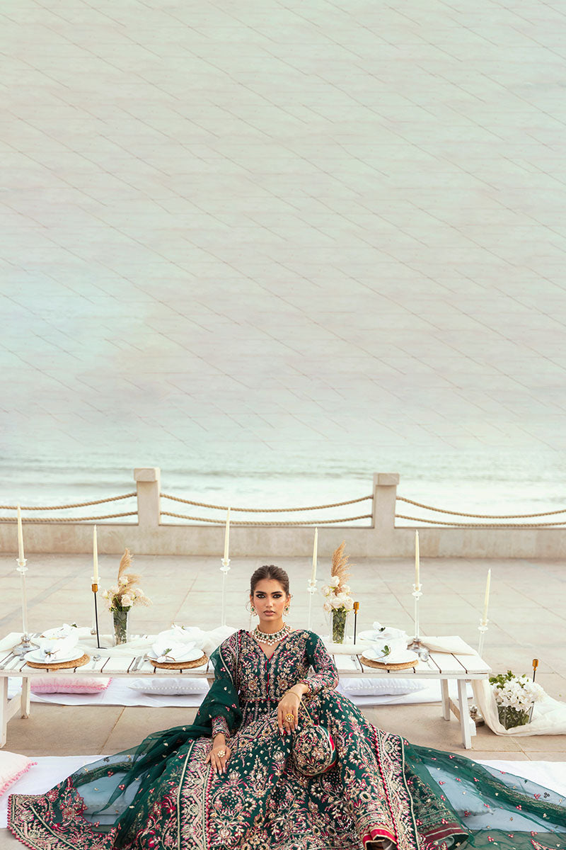Gulaal | Emalyn Luxury Formals | ZARLA - House Of Hania