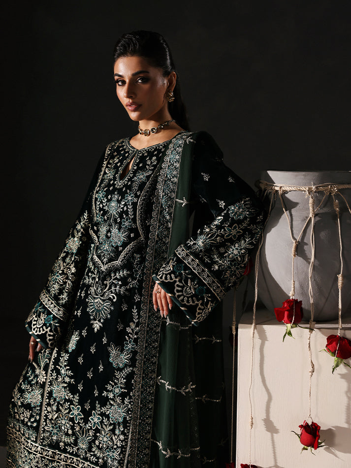 Gulaal | Marais Velvet | EVANA - House Of Hania