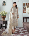 Gulaal | Meherma Wedding Formals Collection | Mehr Embroidered Net 3-Piece Suit WS-19 - House Of Hania