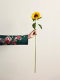 Gulaal | Summer Pret 26 | Faye - House Of Hania