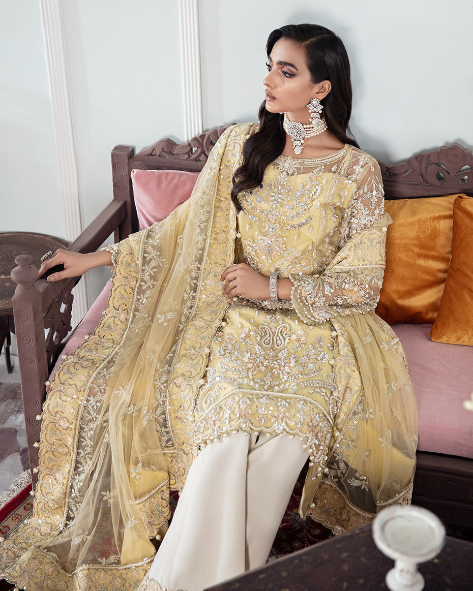 Gulaal | Wedding Formals | MAHJABEEN EMBROIDERED NET 3-PIECE SUIT WS-17 - House Of Hania