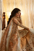 Hayat by Afrozeh Embroidered Net 3Pc Suit AFH-24-06 NOORAY - House Of Hania