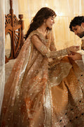 Hayat by Afrozeh Embroidered Net 3Pc Suit AFH-24-06 NOORAY - House Of Hania