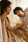 Hayat by Afrozeh Embroidered Net 3Pc Suit AFH-24-06 NOORAY - House Of Hania
