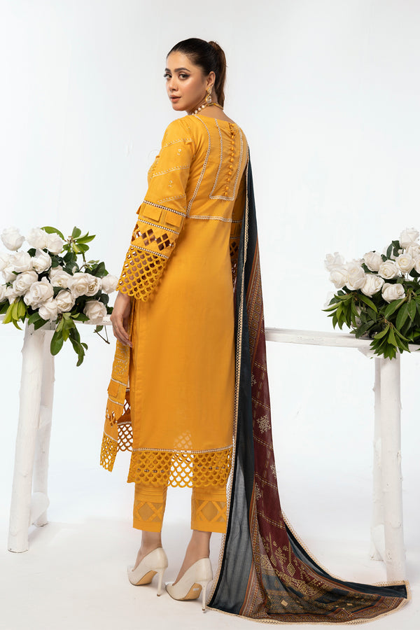 House of Nawab | Lawn Collection 24 | AEMA - House Of Hania