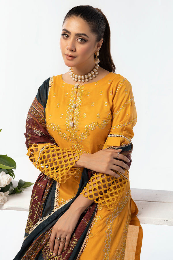 House of Nawab | Lawn Collection 24 | AEMA - House Of Hania