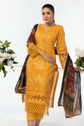 House of Nawab | Lawn Collection 24 | AEMA - House Of Hania