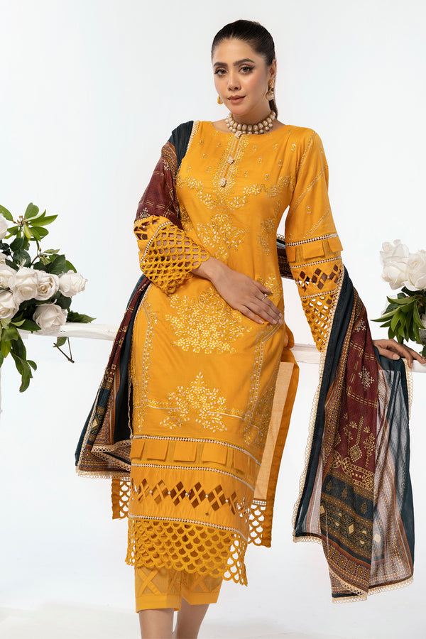 House of Nawab | Lawn Collection 24 | AEMA - House Of Hania