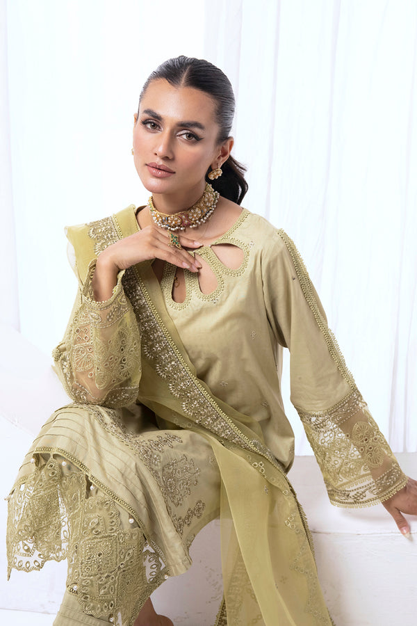 House of Nawab | Lawn Collection 24 | AENI - House Of Hania