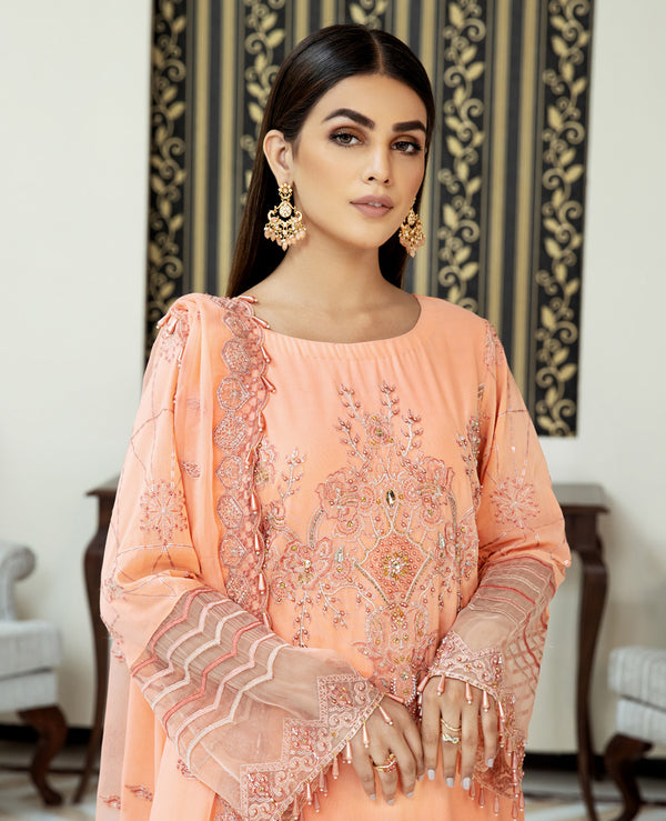 House of Nawab | Lawn Collection 24 | DANEEN - House Of Hania
