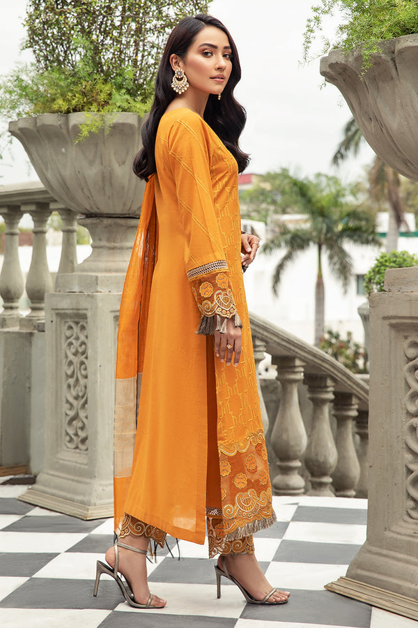 House of Nawab | Lawn Collection 24 | ZAVOSH - House Of Hania