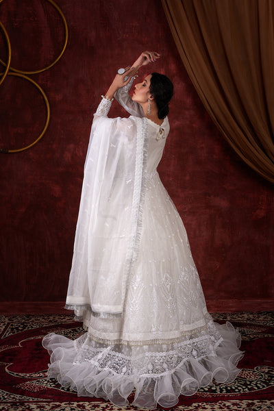 House of Nawab | Luxury Formals | AZKA - House Of Hania