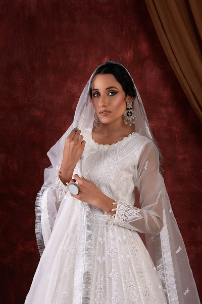 House of Nawab | Luxury Formals | AZKA - House Of Hania