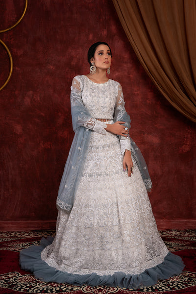House of Nawab | Luxury Formals | GULCIN - House Of Hania