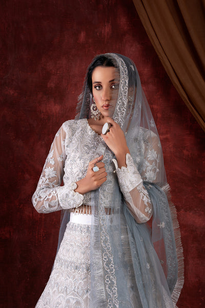 House of Nawab | Luxury Formals | GULCIN - House Of Hania