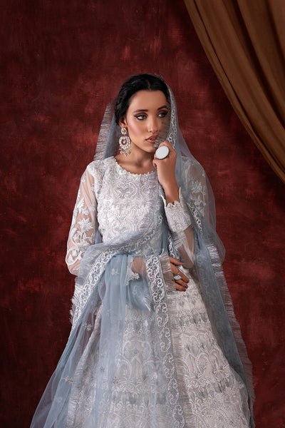 House of Nawab | Luxury Formals | GULCIN - House Of Hania