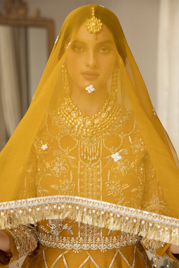 House of Nawab | Luxury Formals | HAZWA B - House Of Hania