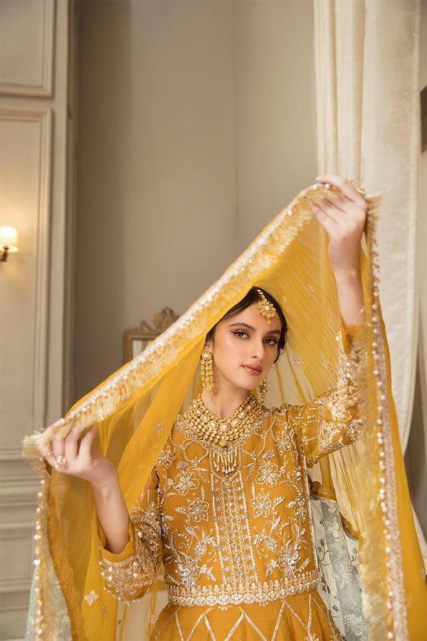 House of Nawab | Luxury Formals | HAZWA B - House Of Hania