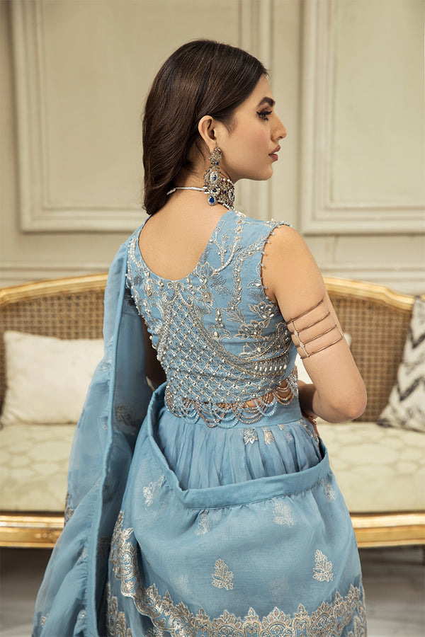 House of Nawab | Luxury Formals | SHIFA B - House Of Hania