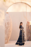 House of Nawab | Miorah Formals | IRAMMA - A - House Of Hania