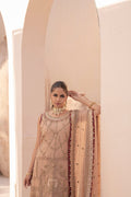House of Nawab | Miorah Formals | ZIDHAR - B - House Of Hania