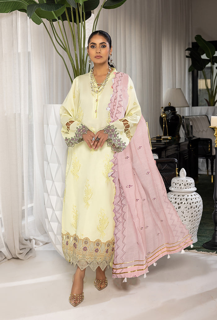 Humdum | Charlotte Chikankari Lawn | D06 - House Of Hania