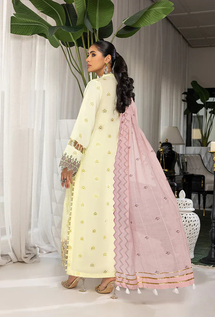 Humdum | Charlotte Chikankari Lawn | D06 - House Of Hania