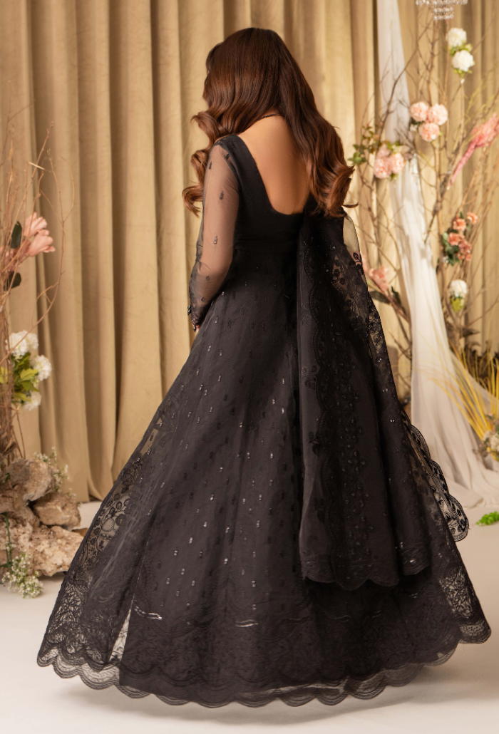 Humdum | Chiffon Collection | HOC - D15 - House Of Hania