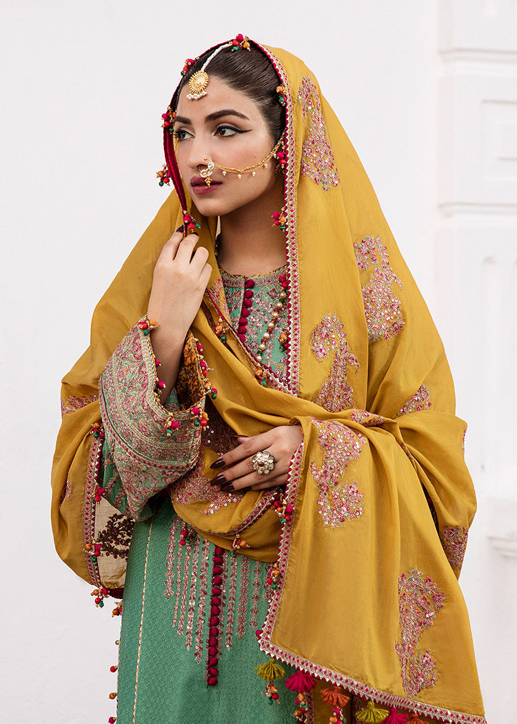 Hussain Rehar-Badar-Roshan Collection'23 - House Of Hania
