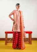 Hussain Rehar | Basic Not Basic |  Blush - House Of Hania