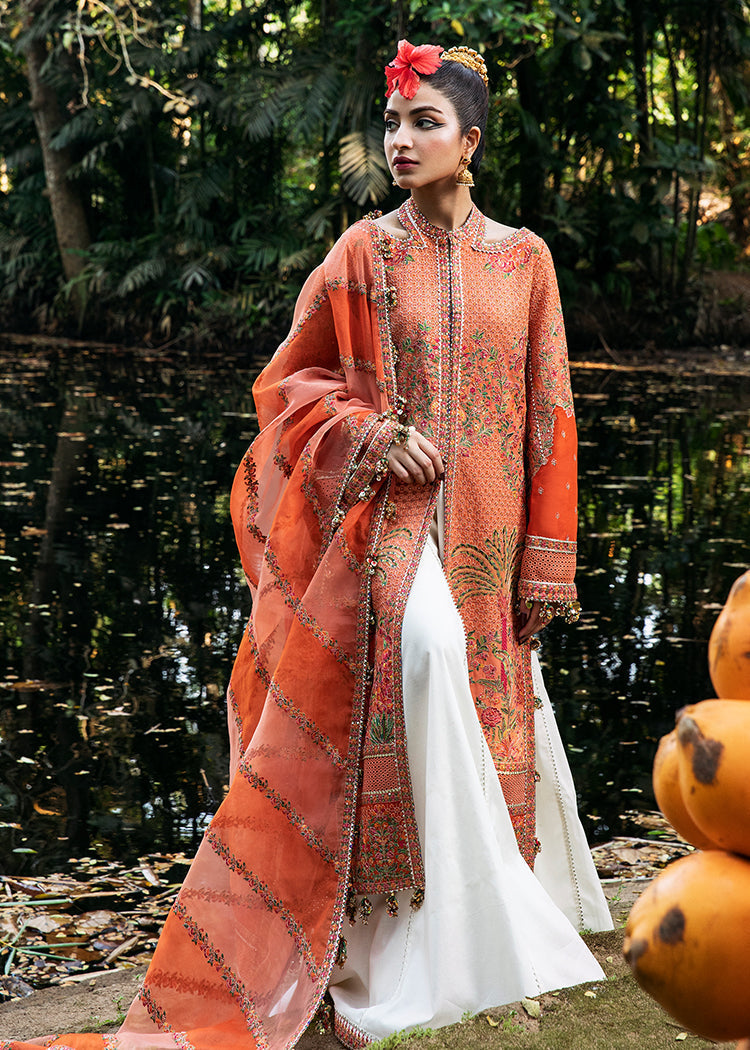 Hussain Rehar-Begonia-Roshan Collection'23 - House Of Hania