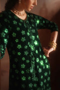 IZNIK | Raagni Velvet Formals | IV-60 Embroidered Velvet - House Of Hania
