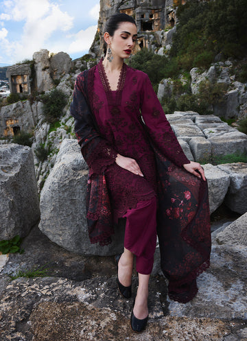 Image | Lawnkari 25 | Delara - House Of Hania