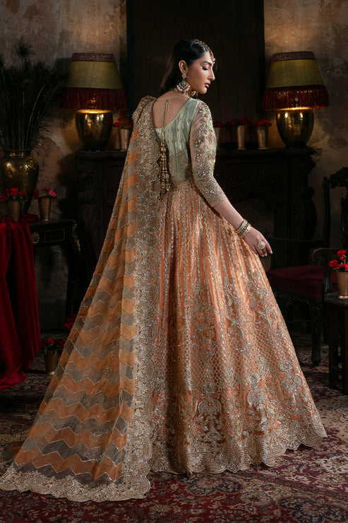 Imrozia Premium | Noor e Naaz Bridals 25 | IB-56 Sitarah - House Of Hania