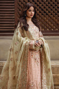 Imrozia Premium | Sajal Bridal Collection | SB-27 Zarqash - House Of Hania