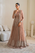 Iznik | Chinnon Chiffon | CC-43 Embroidered Net - House Of Hania