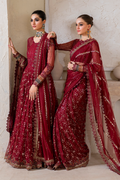 Iznik | Chinnon Chiffon | CC-49 Embroidered Net - House Of Hania