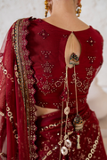 Iznik | Chinnon Chiffon | CC-49 Embroidered Net - House Of Hania