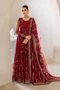 Iznik | Chinnon Chiffon | CC-49 Embroidered Net - House Of Hania