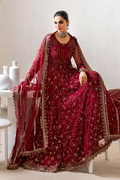 Iznik | Chinnon Chiffon | CC-49 Embroidered Net - House Of Hania