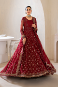 Iznik | Chinnon Chiffon | CC-49 Embroidered Net - House Of Hania