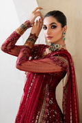 Iznik | Chinnon Chiffon | CC-49 Embroidered Net - House Of Hania