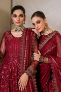 Iznik | Chinnon Chiffon | CC-49 Embroidered Net - House Of Hania
