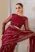 Iznik | Chinnon Chiffon | CC-49 Embroidered Net - House Of Hania