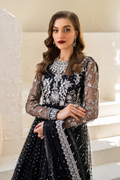 Iznik | Chinnon Chiffon | CC-50 Embroidered Net - House Of Hania