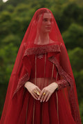 Iznik | Chinon Chiffon | CC-67 Embroidered Net - House Of Hania