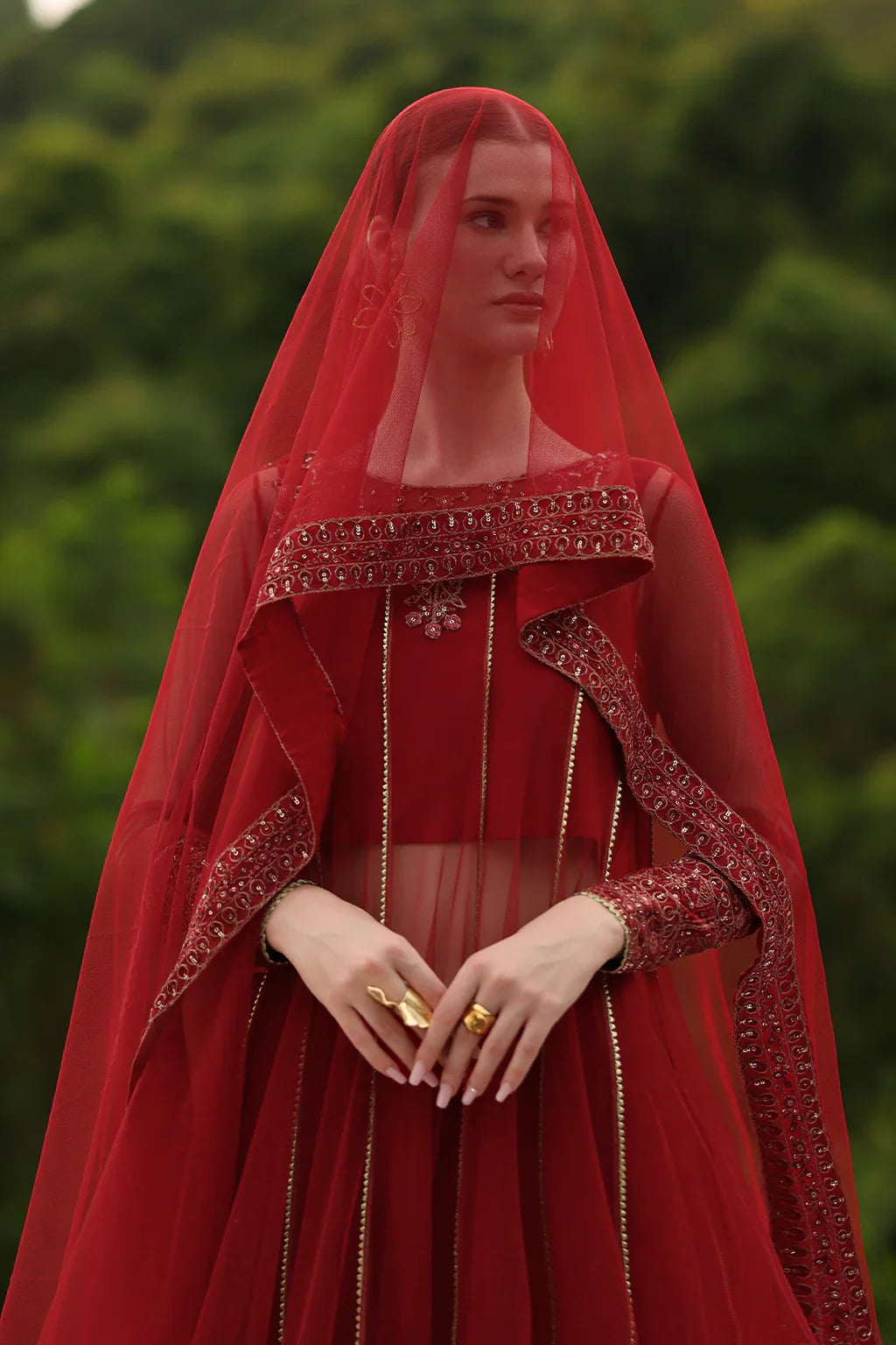 Iznik | Chinon Chiffon | CC-67 Embroidered Net - House Of Hania